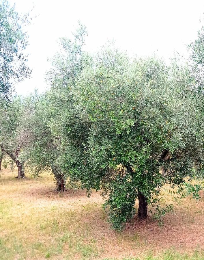 Tenuta Bardi Villa Baldassarri Екстериор снимка